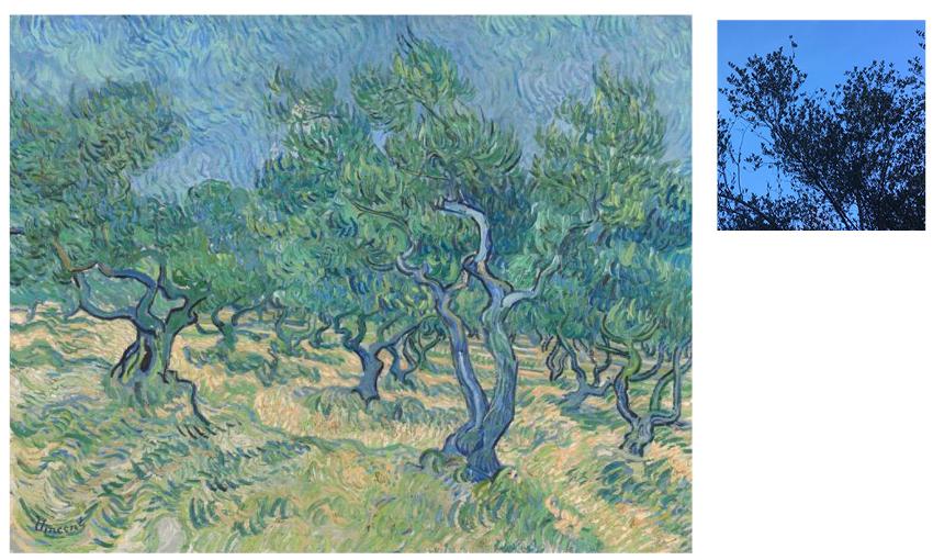 Olive Trees By Vincent Van Gogh - Art Phone Case